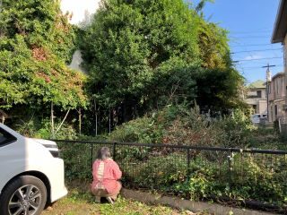 依頼者宅の庭木の伐採の写真。伐採前。木が2階よりも上まで伸びて家が見えないくらいになっている。