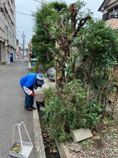 生垣剪定後の写真。道路側に出ていた枝も払われすっきりしている。